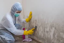 Best Crawl Space Mold Remediation  in Woodbranch, TX